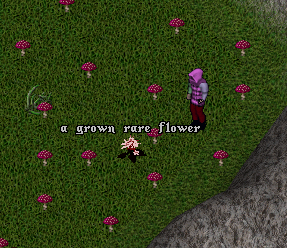 Rare Flower