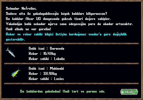 Büyük balık avcılığı.